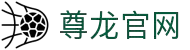 中国·尊龙(Z6)官方网站-MacauStore